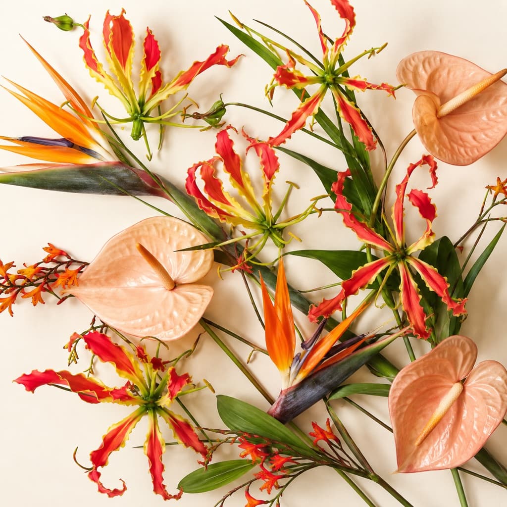 Fleurs Exotiques