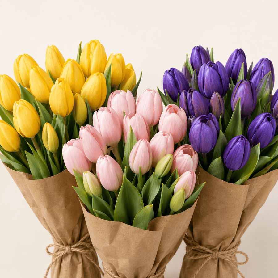 Tulipes