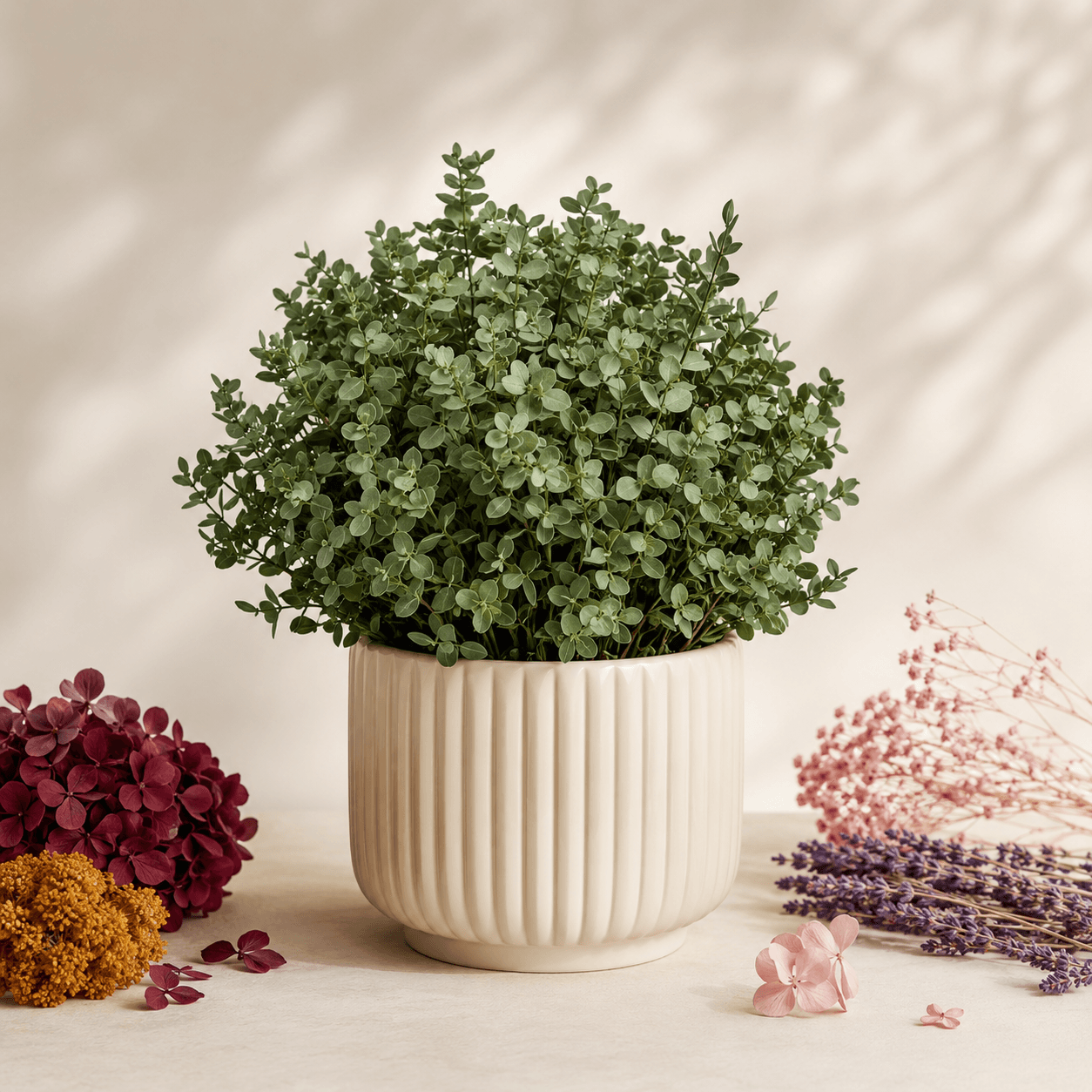 Plantas Preservadas