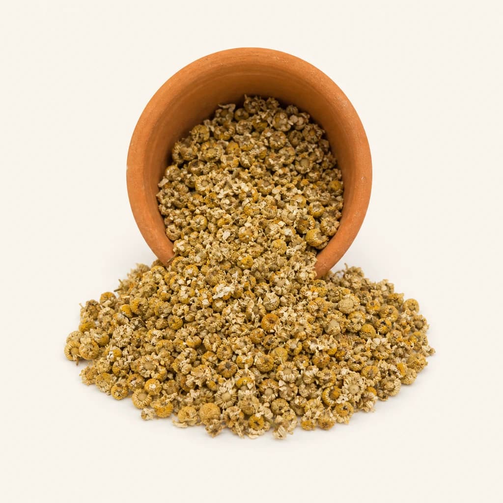 Semillas de manzanilla
